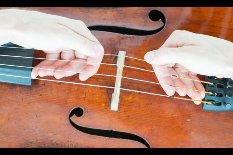 A stepbystep guide to keeping your bridge healthy Focus The Strad